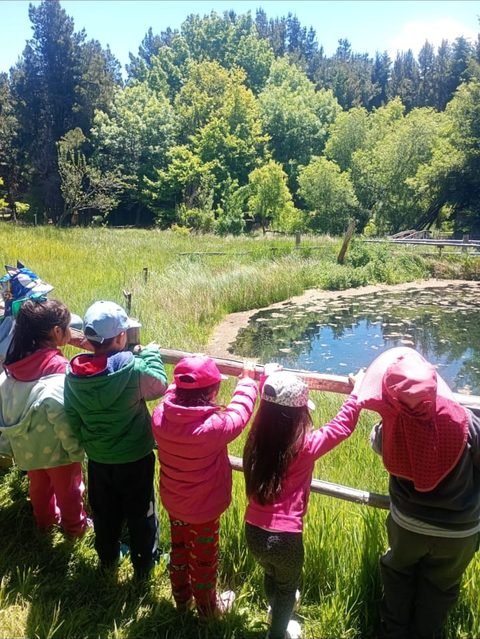 Niñas y niños abrigados con gorritos, apoyados en una baranda de madera, miran una laguna rodeada de pasto alto y árboles